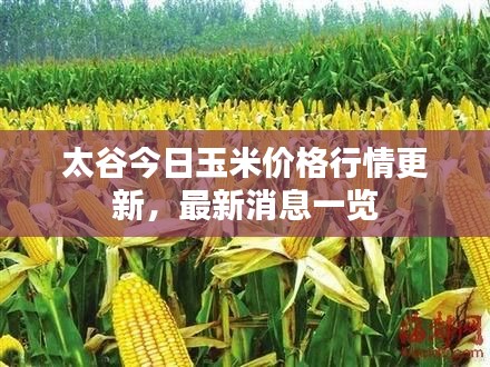 不期而遇