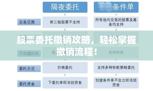 股票委托撤销攻略，轻松掌握撤销流程！