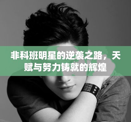 非科班明星的逆袭之路，天赋与努力铸就的辉煌