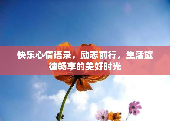 快乐心情语录，励志前行，生活旋律畅享的美好时光