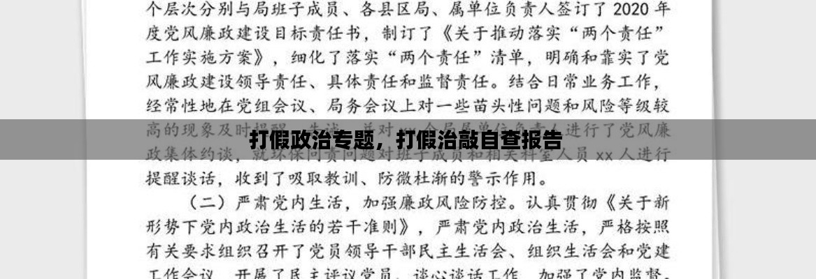 打假政治专题，打假治敲自查报告 