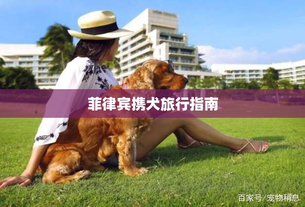 菲律宾携犬旅行指南