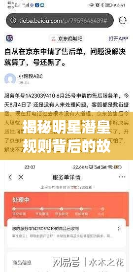 揭秘明星潜皇规则背后的故事与启示