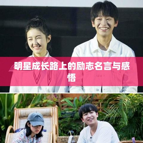 明星成长路上的励志名言与感悟