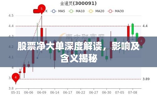 股票净大单深度解读，影响及含义揭秘