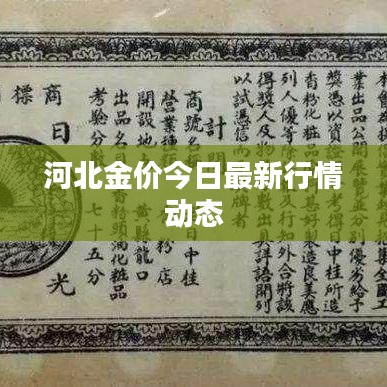 河北金价今日最新行情动态