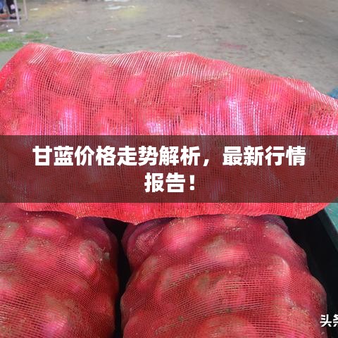 冰肌玉骨