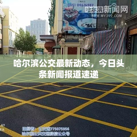 哈尔滨公交最新动态，今日头条新闻报道速递