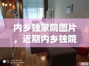 内乡独家院图片，近期内乡独院出售信息 