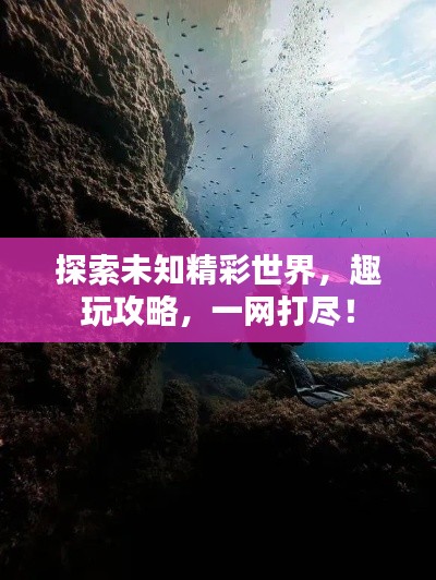 探索未知精彩世界，趣玩攻略，一网打尽！