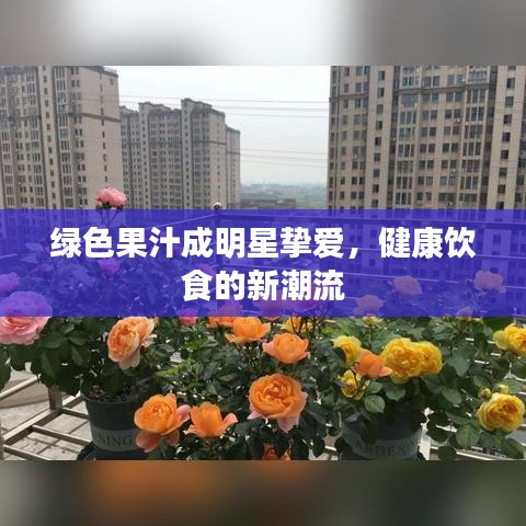 绿色果汁成明星挚爱，健康饮食的新潮流