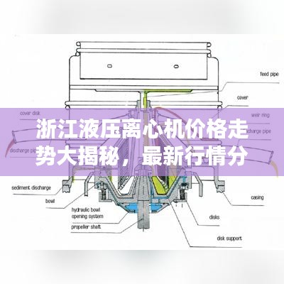 浙江液压离心机价格走势大揭秘，最新行情分析！
