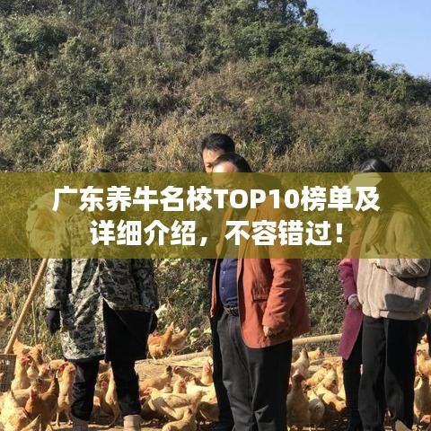 广东养牛名校TOP10榜单及详细介绍，不容错过！