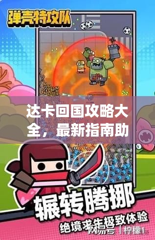 达卡回国攻略大全，最新指南助你顺利归途