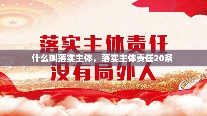 什么叫落实主体，落实主体责任20条 