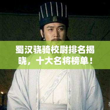 蜀汉骁骑校尉排名揭晓，十大名将榜单！