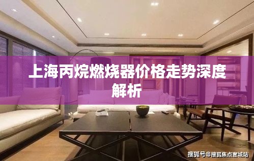上海丙烷燃烧器价格走势深度解析