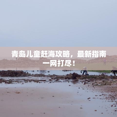 青岛儿童赶海攻略，最新指南一网打尽！