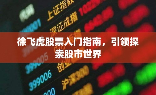 徐飞虎股票入门指南，引领探索股市世界