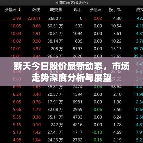 新天今日股价最新动态，市场走势深度分析与展望