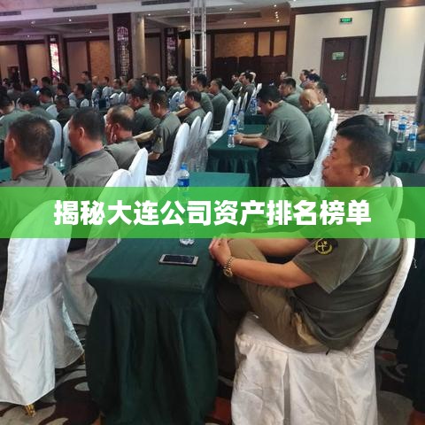 揭秘大连公司资产排名榜单