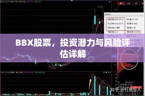 BBX股票，投资潜力与风险评估详解