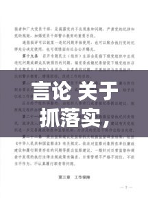 言论 关于抓落实，抓落实的意见 