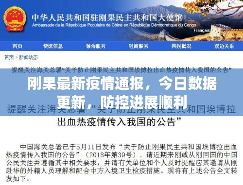 刚果最新疫情通报，今日数据更新，防控进展顺利