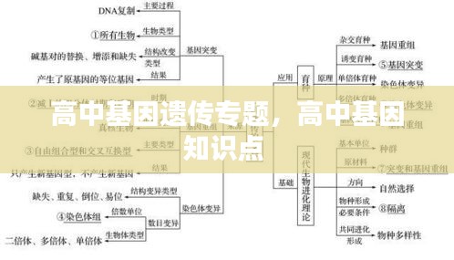 高中基因遗传专题，高中基因知识点 