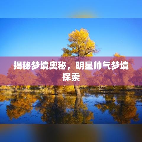 揭秘梦境奥秘，明星帅气梦境探索