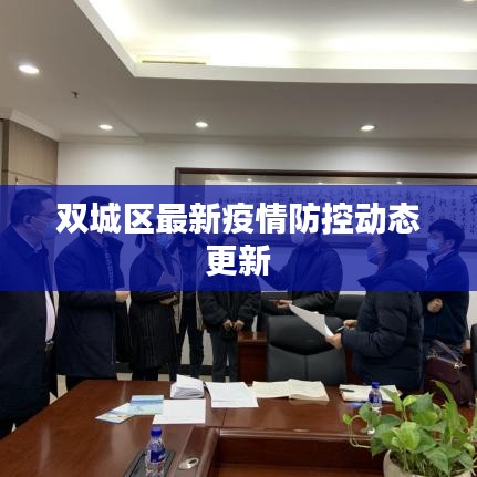 双城区最新疫情防控动态更新