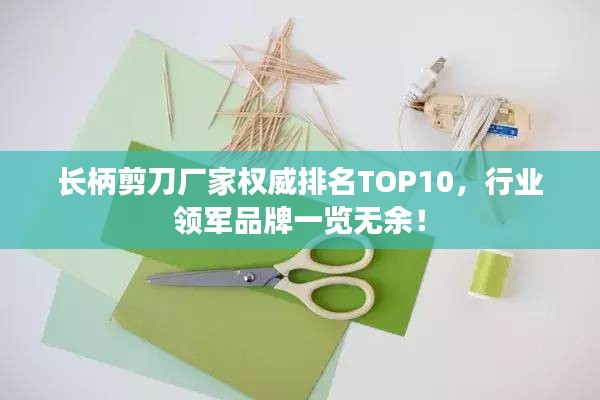 长柄剪刀厂家权威排名TOP10，行业领军品牌一览无余！