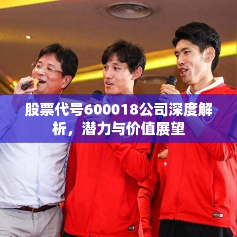 股票代号600018公司深度解析，潜力与价值展望