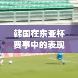 韩国在东亚杯赛事中的表现及其影响力分析