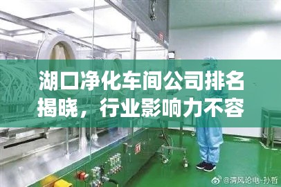 湖口净化车间公司排名揭晓，行业影响力不容小觑