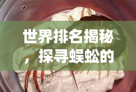 世界排名揭秘，探寻蜈蚣的神秘之旅
