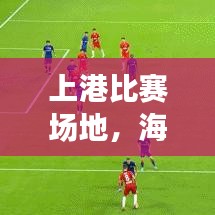 上港比赛场地，海港之城体育盛景尽收眼底