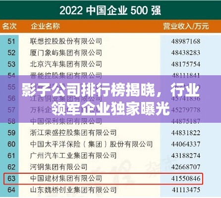 影子公司排行榜揭晓，行业领军企业独家曝光