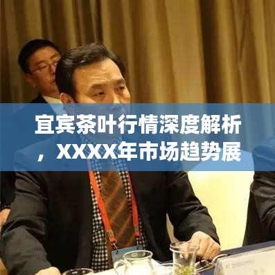 宜宾茶叶行情深度解析，XXXX年市场趋势展望