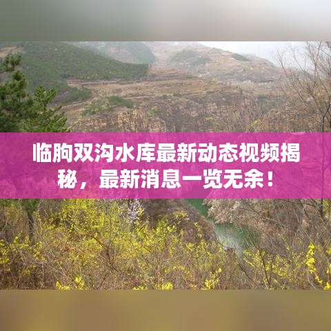 临朐双沟水库最新动态视频揭秘，最新消息一览无余！