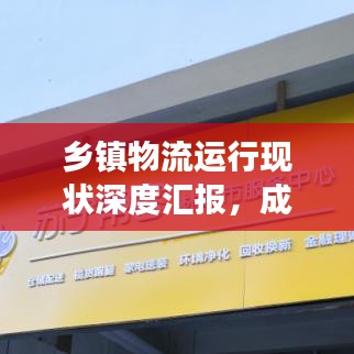 乡镇物流运行现状深度汇报，成效、挑战与未来展望