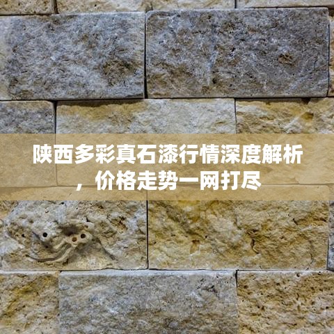 陕西多彩真石漆行情深度解析，价格走势一网打尽