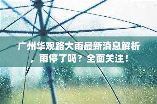 广州华观路大雨最新消息解析，雨停了吗？全面关注！