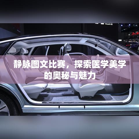 静脉图文比赛，探索医学美学的奥秘与魅力