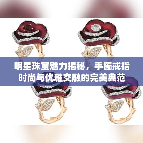 明星珠宝魅力揭秘，手镯戒指时尚与优雅交融的完美典范