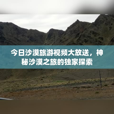 眉清目秀