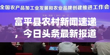 富平县农村新闻速递，今日头条最新报道