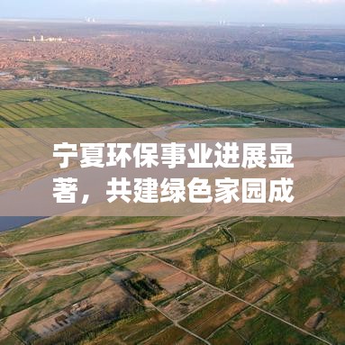 宁夏环保事业进展显著，共建绿色家园成新闻头条