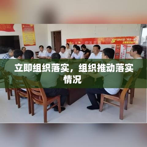 立即组织落实，组织推动落实情况 
