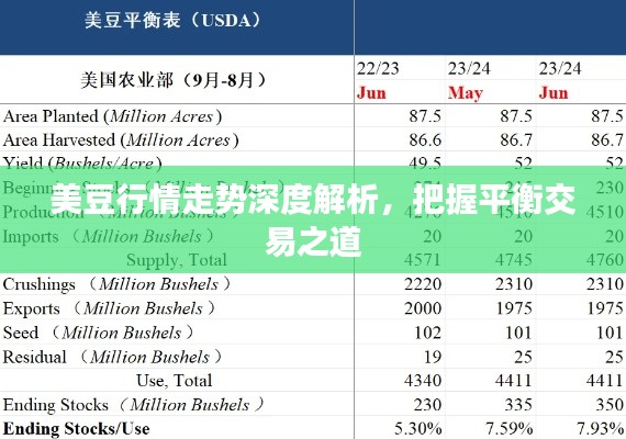 美豆行情走势深度解析，把握平衡交易之道